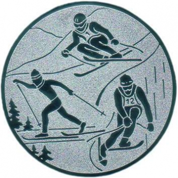 Emblem 25mm "Ski"