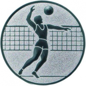 Emblem 25mm "Volleyball Herren"