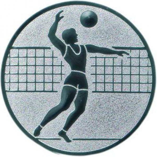 Emblem 25mm "Volleyball Herren"