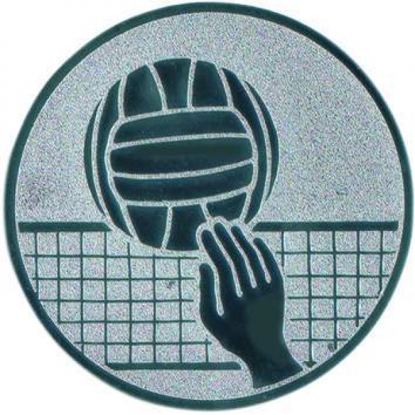 Emblem 25mm "Volleyball"